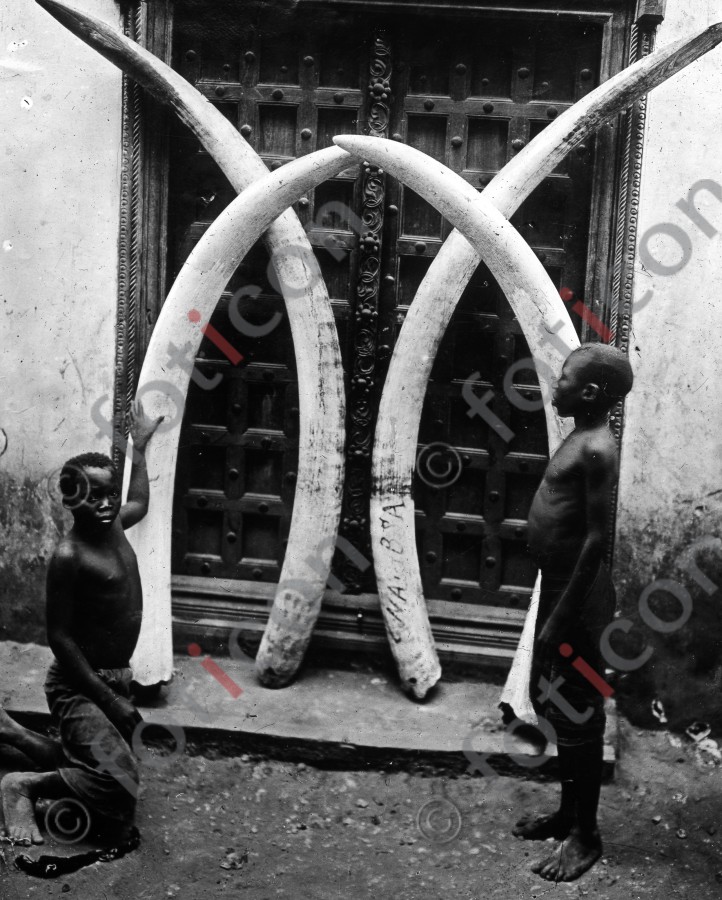 Elfenbein | Ivory - Foto foticon-simon-192--sw.jpg | foticon.de - Bilddatenbank für Motive aus Geschichte und Kultur
